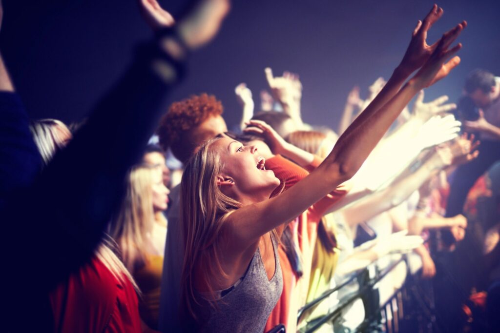 music fans at concert